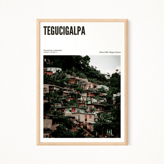 Tegucigalpa Odyssey Poster - The Globe Gallery