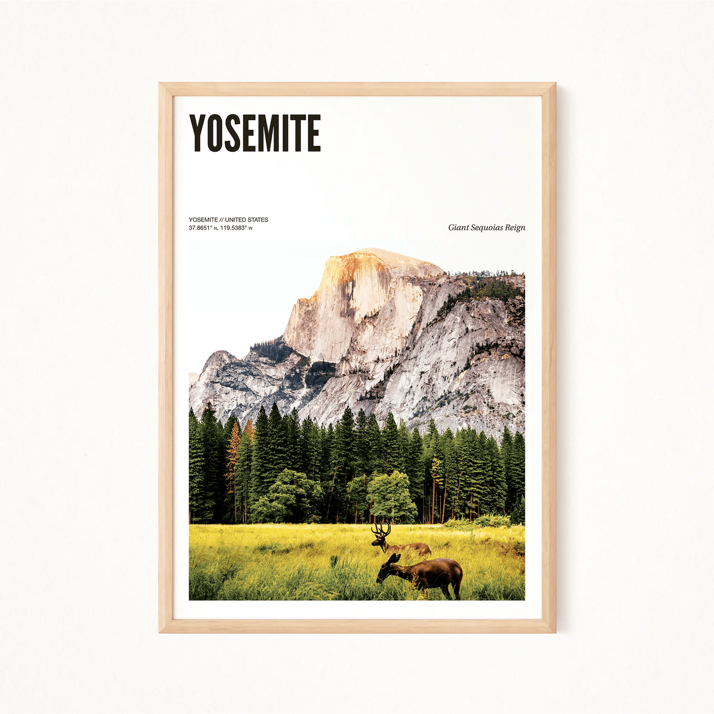 Yosemite Odyssey Poster - The Globe Gallery